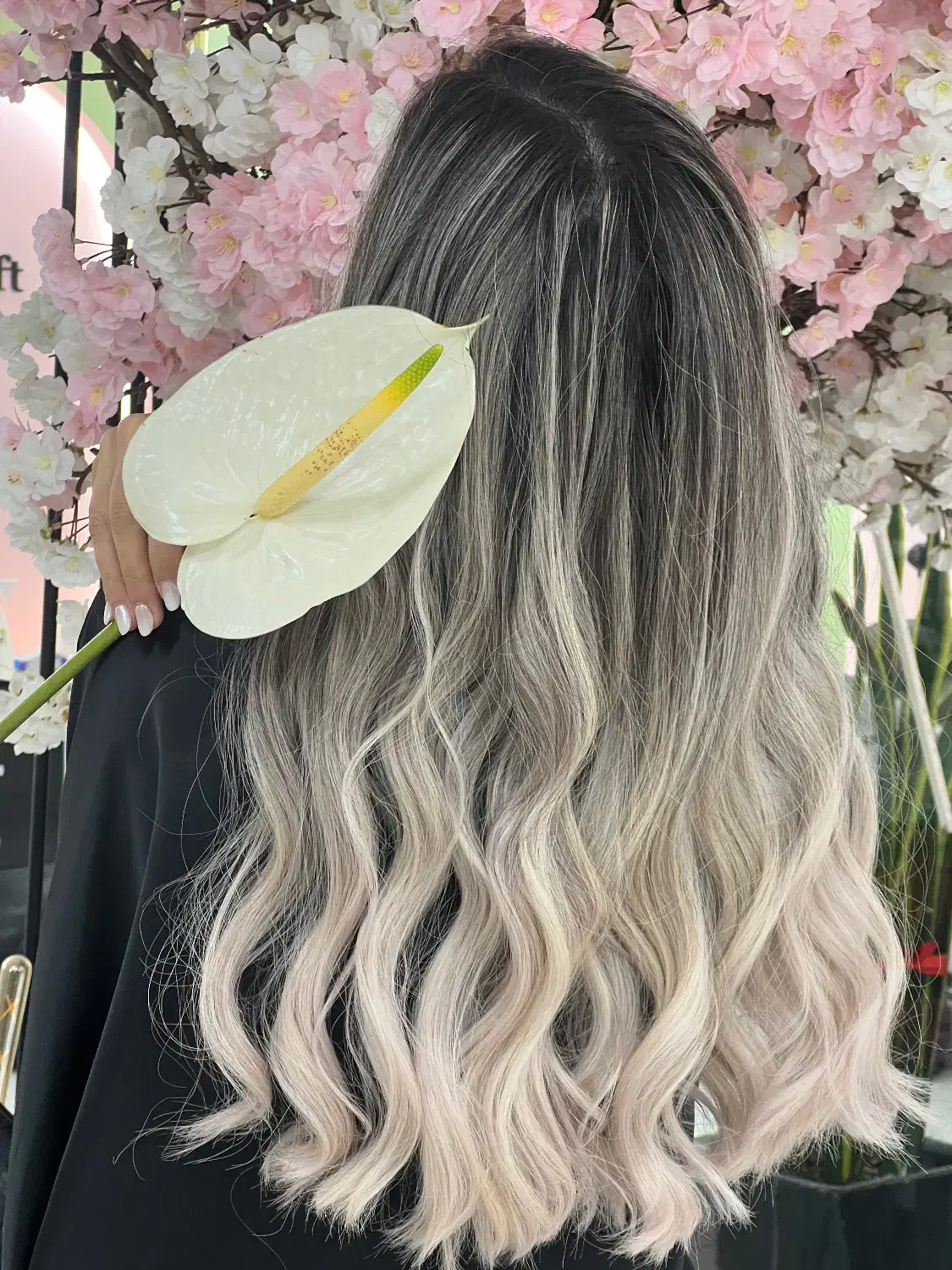 آموزش حرفهای رنگ و لایت مو ،آموزش عملی ،صفرتاصد|خدمات آموزشی|مشهد, سجاد شهر|دیوار