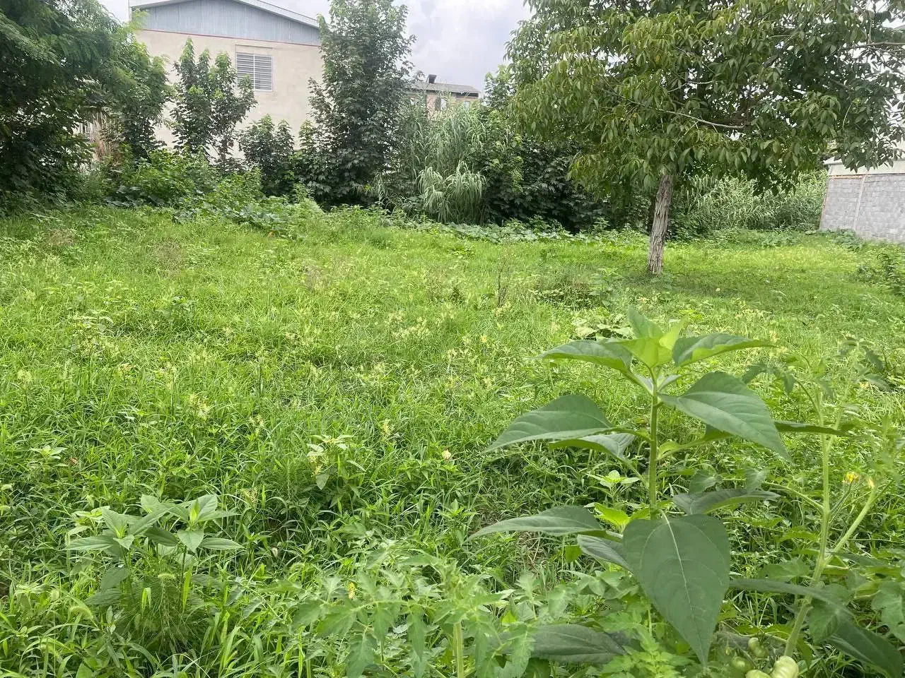 572 متر زمین مسکونی|فروش زمین و ملک کلنگی|شلمان, |دیوار