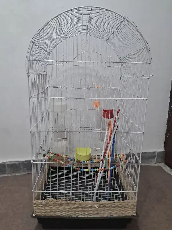 قفس پرنده|لوازم جانبی حیوانات|رشت, پیرکلاچای|دیوار