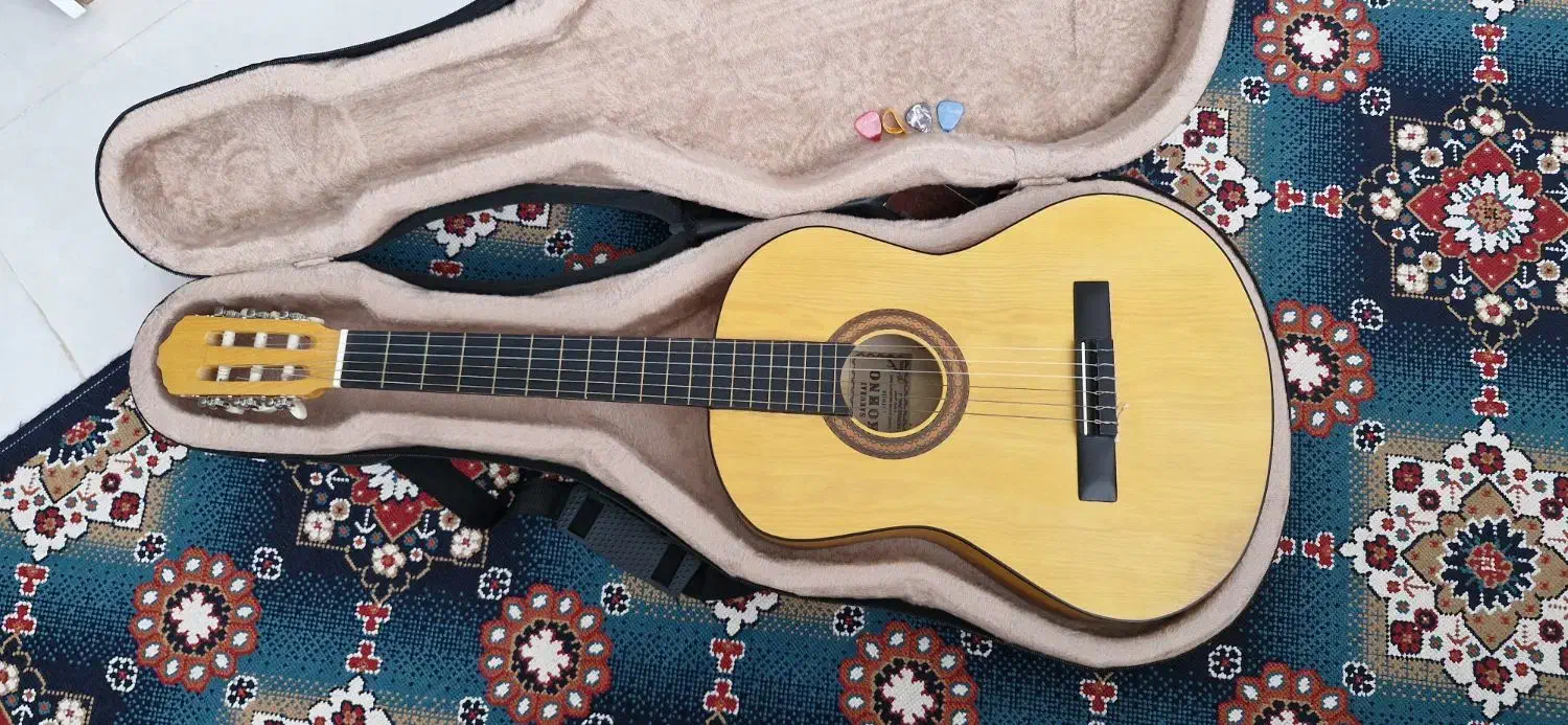 گیتار نو همراه با هارد باکس|گیتار، بیس، امپلیفایر|دورود, |دیوار