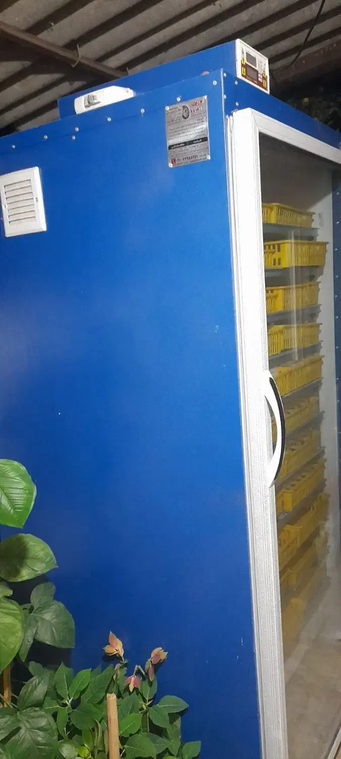 دستگاه جوجه کشی بلدرچین دماوند ۱۸۵۰تایی|لوازم جانبی حیوانات|آق قلا, |دیوار