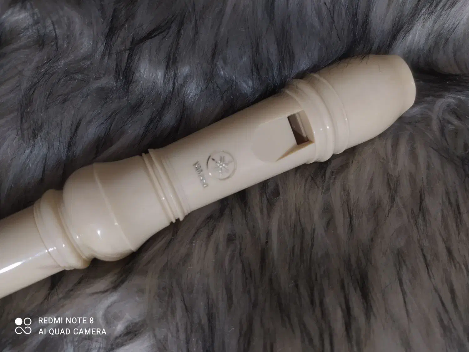 ساز فلوت برند یاماها|سازهای بادی|مشکین‌دشت, |دیوار