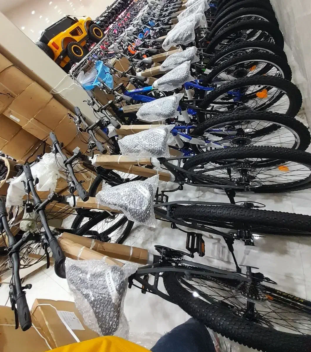 دوچرخه ساحلی تایوانی ۲۴|دوچرخه، اسکیت، اسکوتر|اردبیل, |دیوار