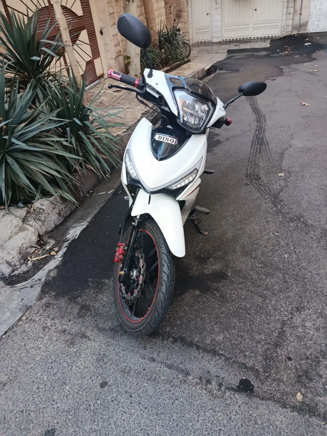 موتور سیکلت طرح ویو دینو|موتورسیکلت|تهران, زرگنده|دیوار