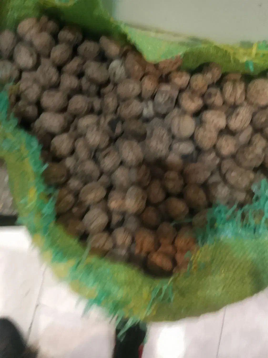 گردو|حراج|دلیجان, |دیوار