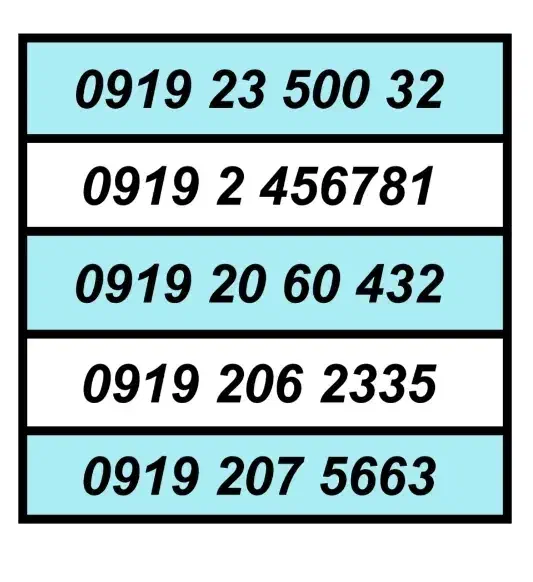 0919.2.45678.1|سیم‌کارت|پرند, فاز ۱|دیوار