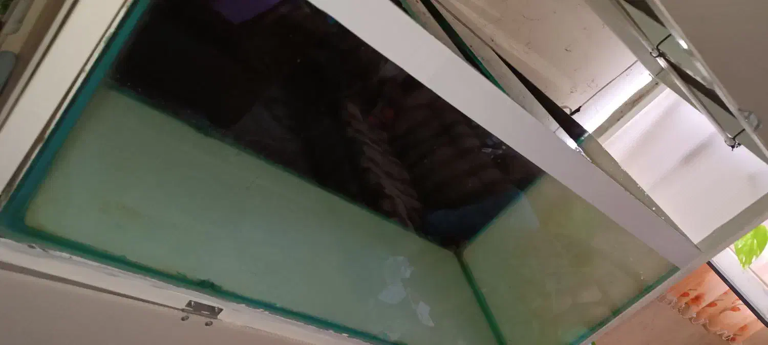 تانک 100*45*40|ماهی|صدرا-فارس, فاز ۲|دیوار