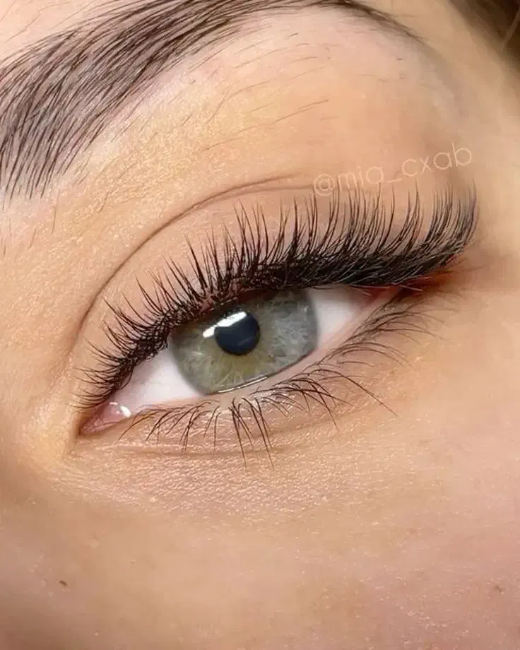 اجاره تخت مژه|خدمات آرایشگری و زیبایی|تهران, قیطریه|دیوار
