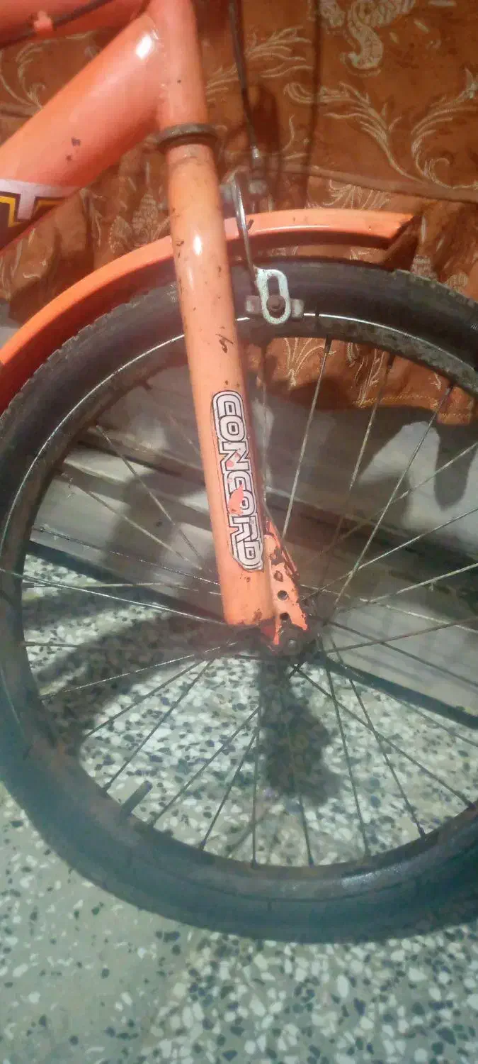 دوچرخه سایز ۲۰ دخترانه|دوچرخه، اسکیت، اسکوتر|گنبد کاووس, |دیوار