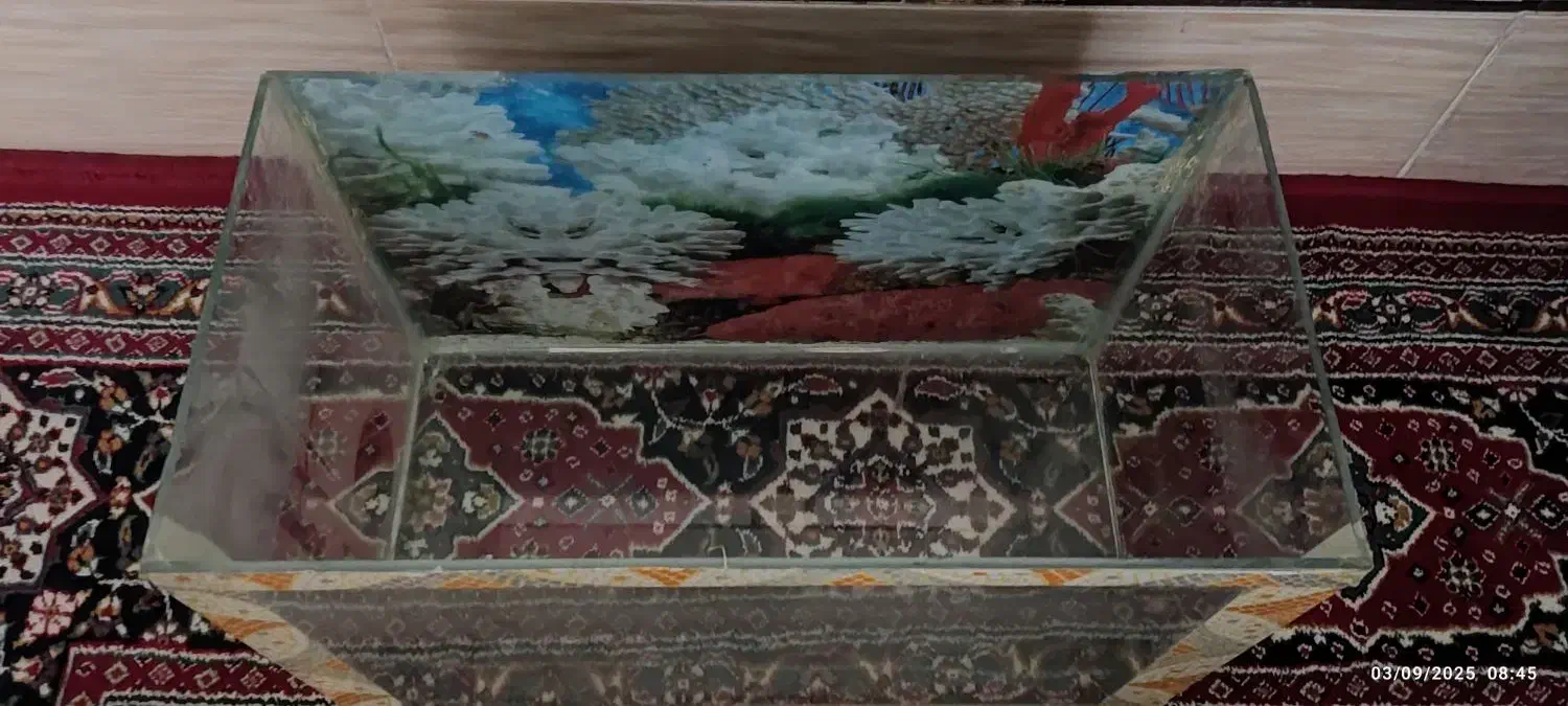 فروش آکواریوم با کلیه وسایل|ماهی|شهرکرد, |دیوار