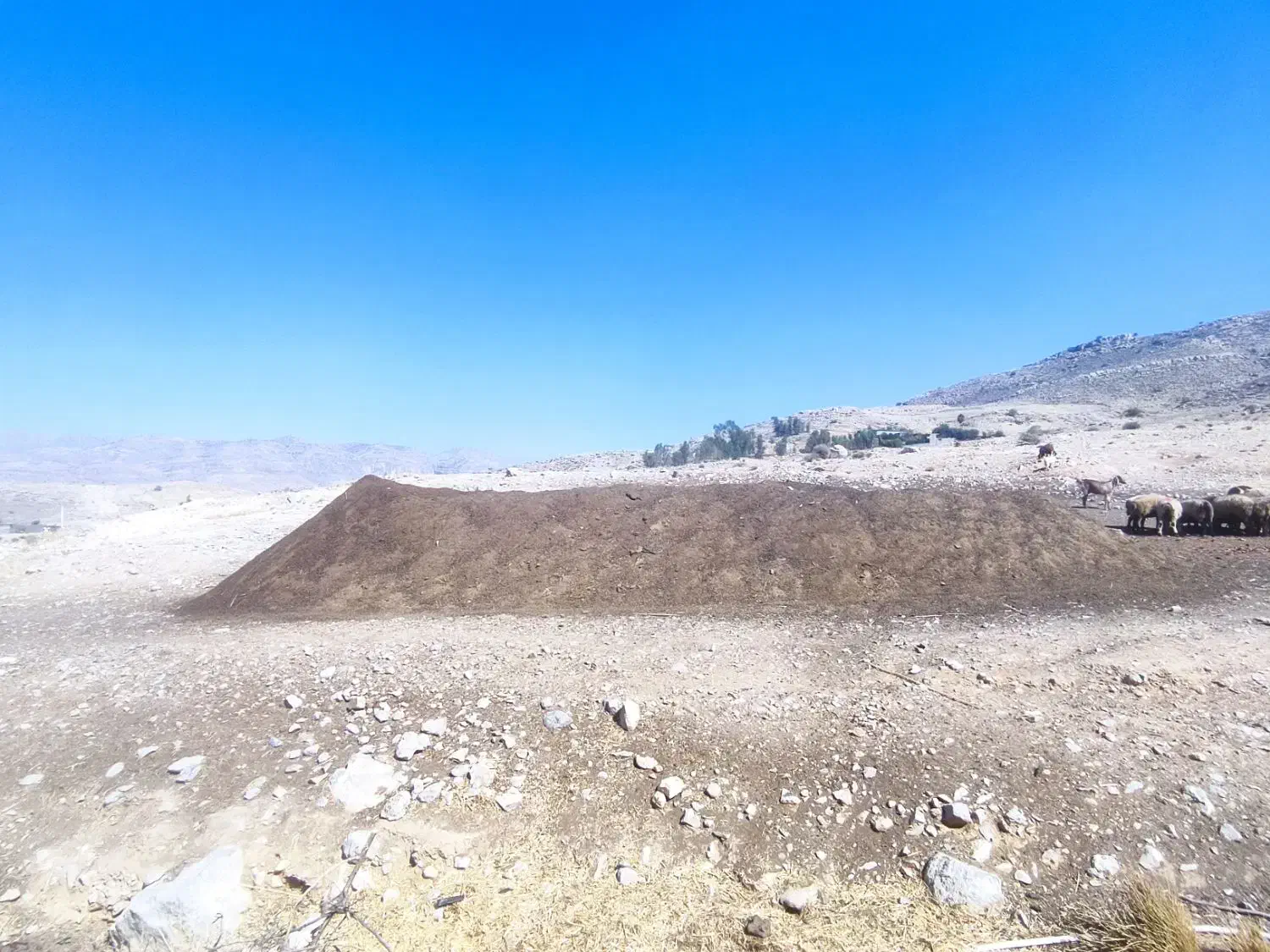 کود حیوانی|خدمات باغبانی و درختکاری|نورآباد ممسنی, |دیوار