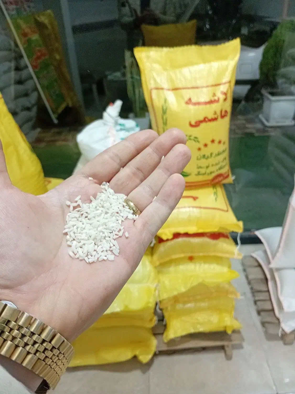 سرلاشه برنج هاشمی خالص|خوردنی و آشامیدنی|تالش, هشتپر|دیوار