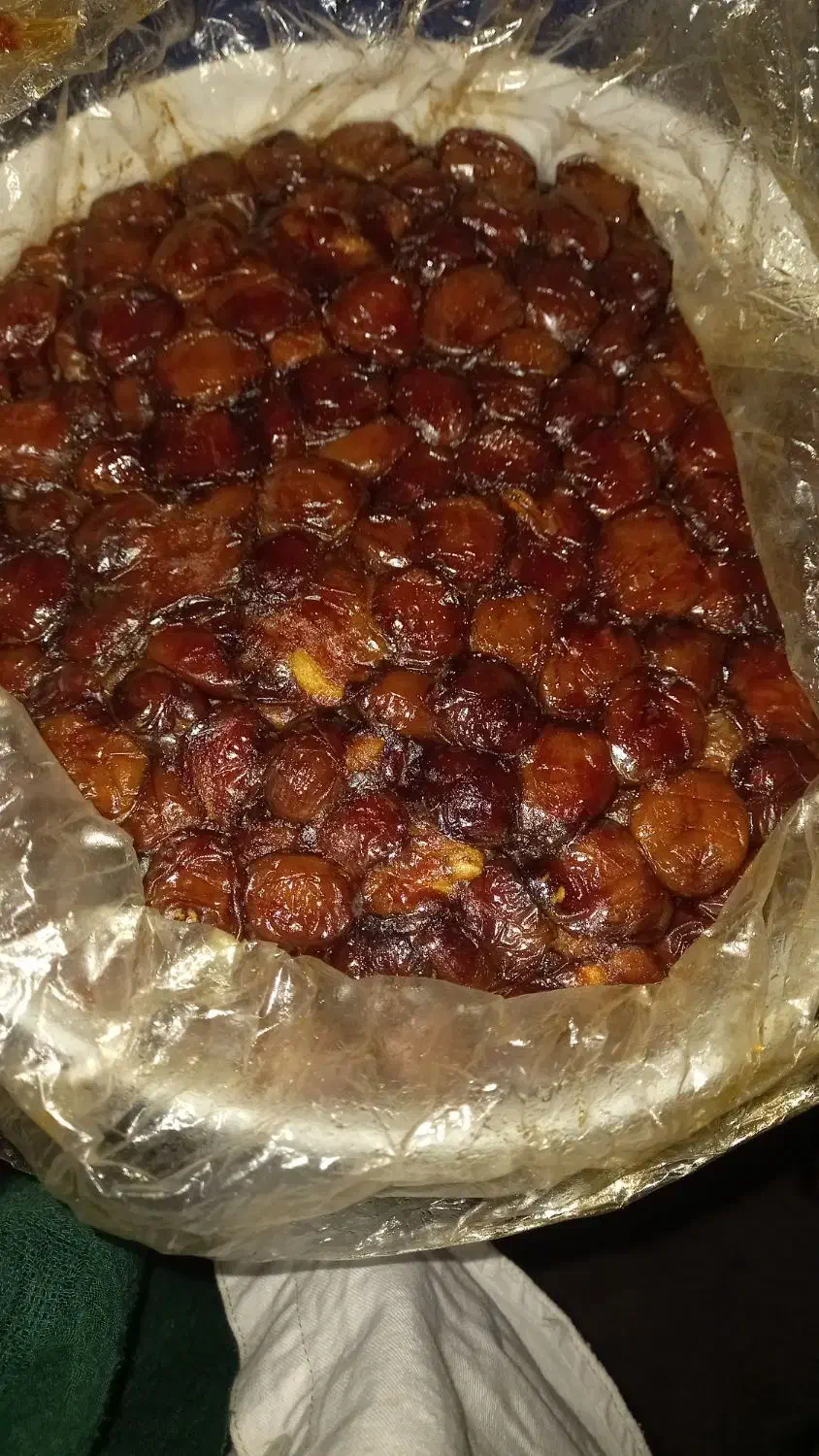 سطل خرمای خاصه|عمدهفروشی|جم, |دیوار