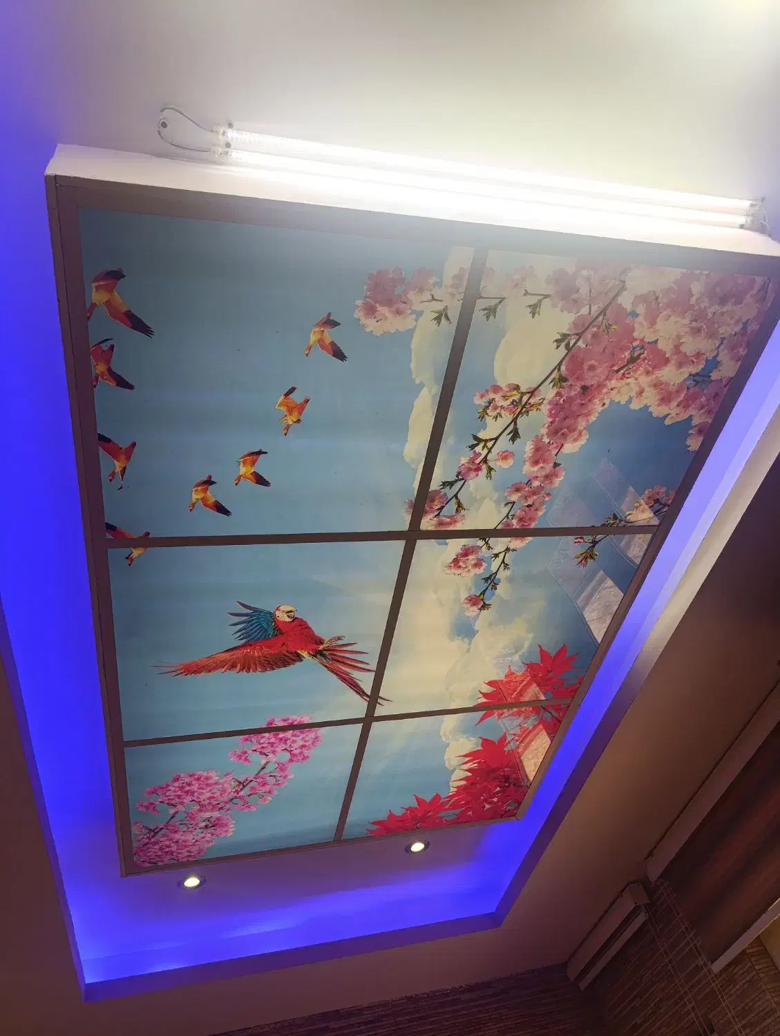 آسمان مجازی|ریسه و چراغ تزئینی|لاهیجان, لیل|دیوار