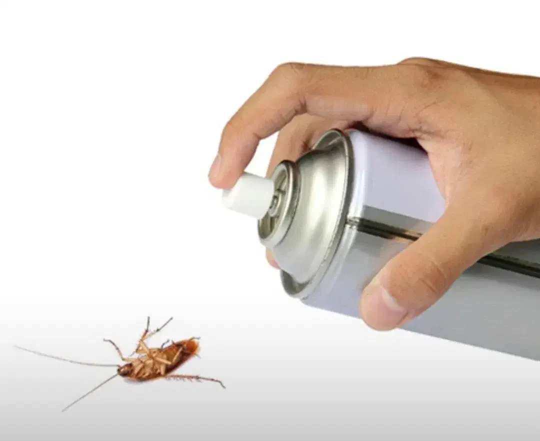 سم پاشی وضدعفونی|خدمات نظافت|نجفآباد, سعدی|دیوار