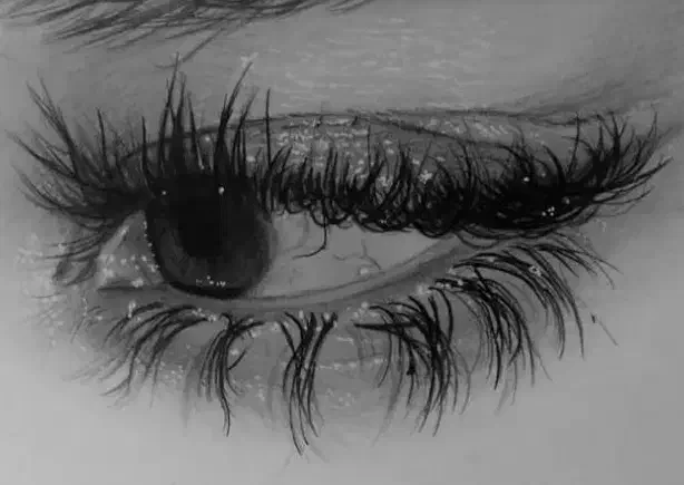 آموزش طراحی نقاشی مجسمه سازی|خدمات آموزشی|کوه چنار, |دیوار