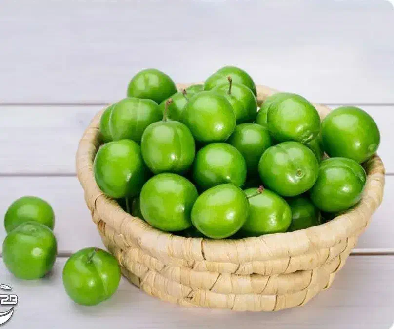 پیش فروش نهال گوجه سبز نخجوان|خدمات باغبانی و درختکاری|میبد, |دیوار