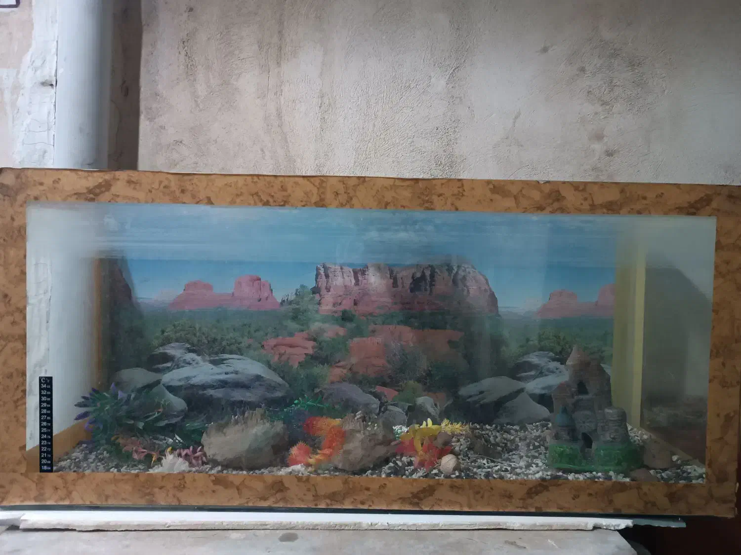 آکواریوم|ماهی|محمدیه-قزوین, |دیوار