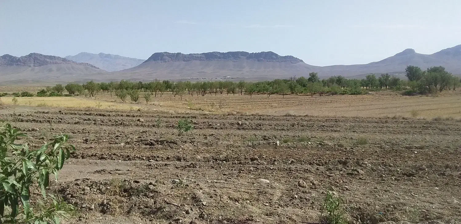 فروش زمین کشاورزی حسن اباد ماکوله|فروش دفتر صنعتی، کشاورزی، تجاری|گلپایگان, |دیوار