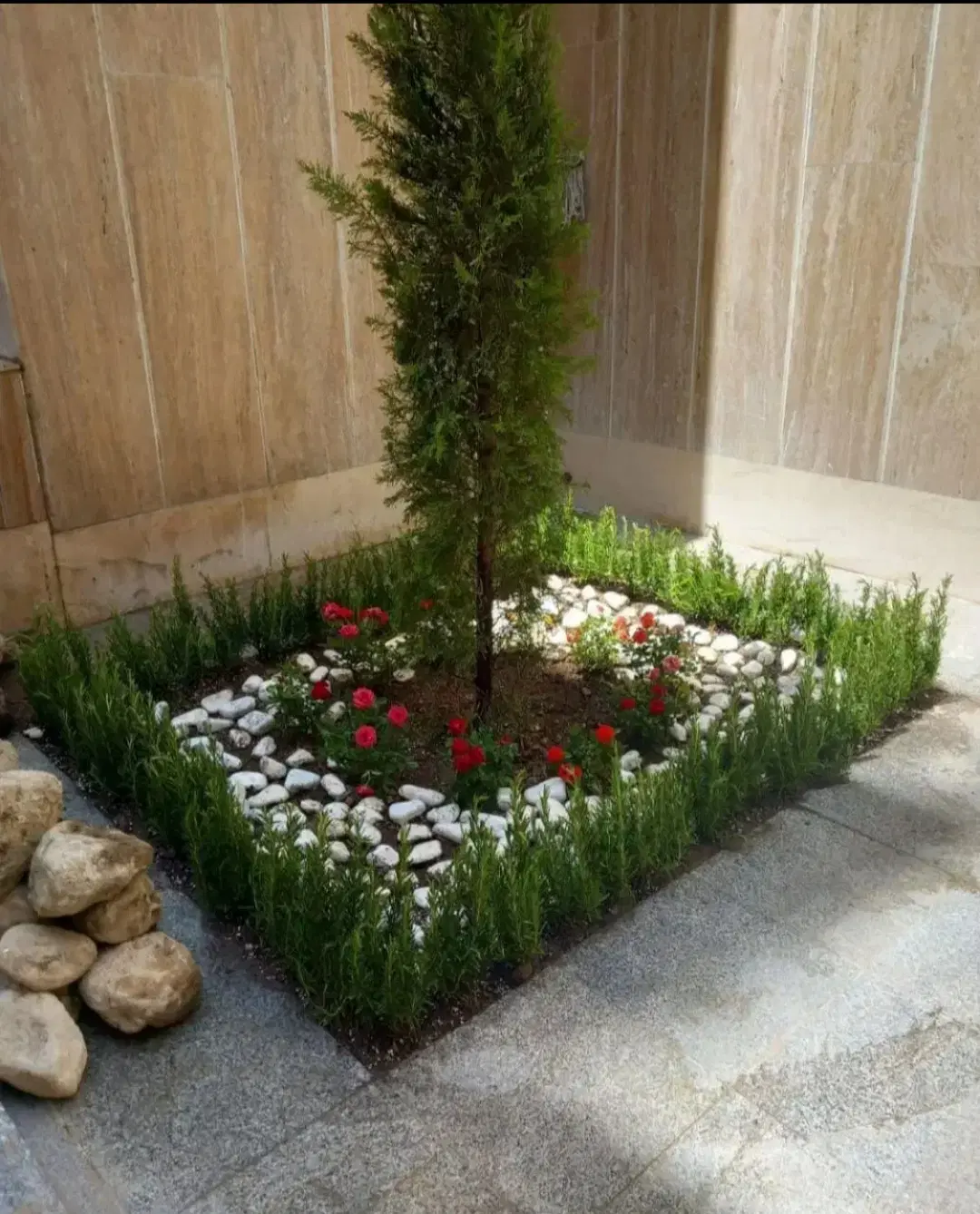 خدمات باغبانی باغچه کاری کاشت گل وگیاه تعویض گلدون|خدمات باغبانی و درختکاری|تهران, تهرانپارس غربی|دیوار