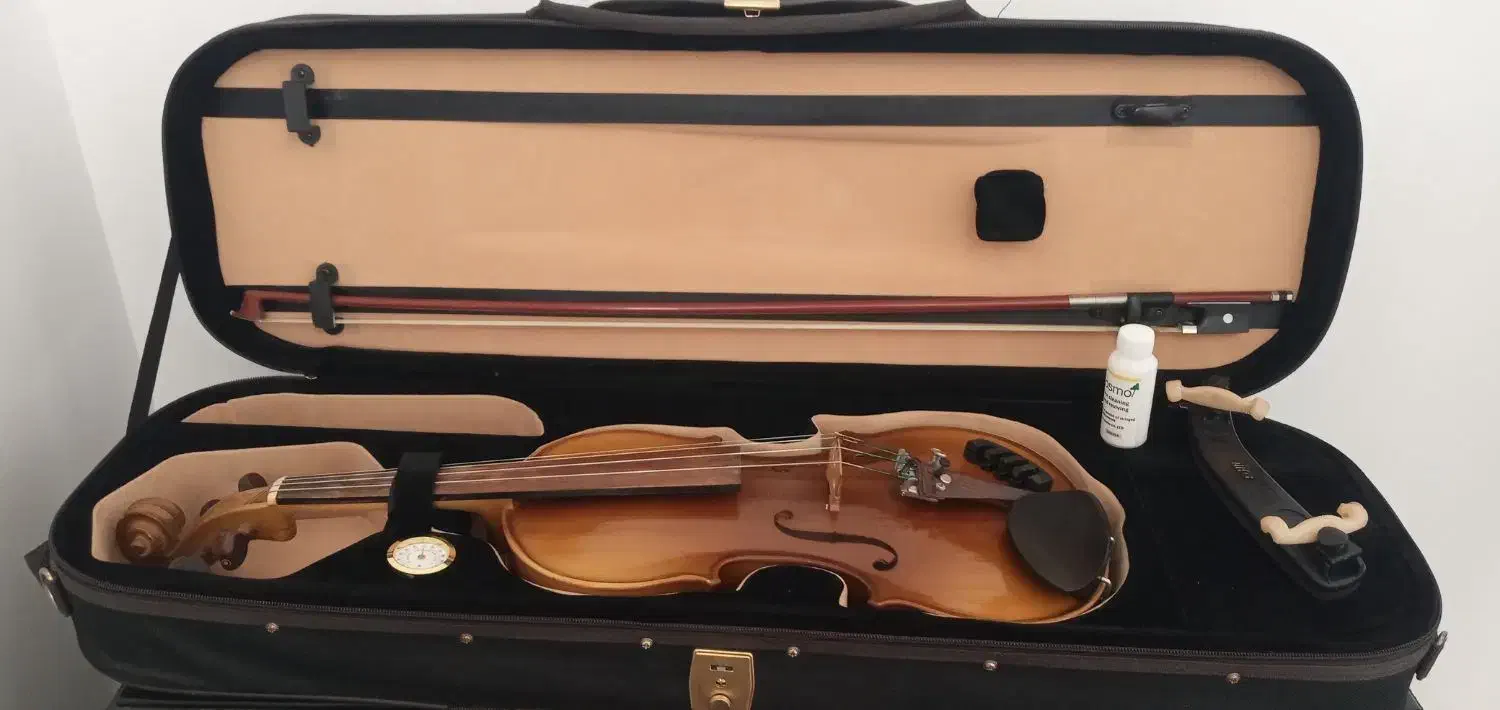 ویولن حرفه ای تمیز و خوش صدا|ویولن|جم, |دیوار