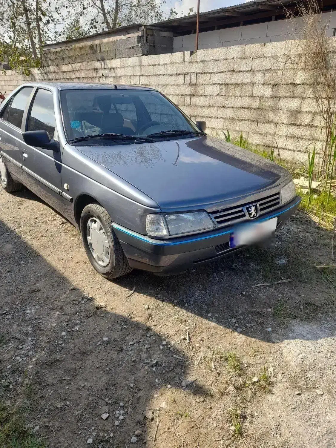 پژو 405|خودرو سواری و وانت|رشت, نظری|دیوار