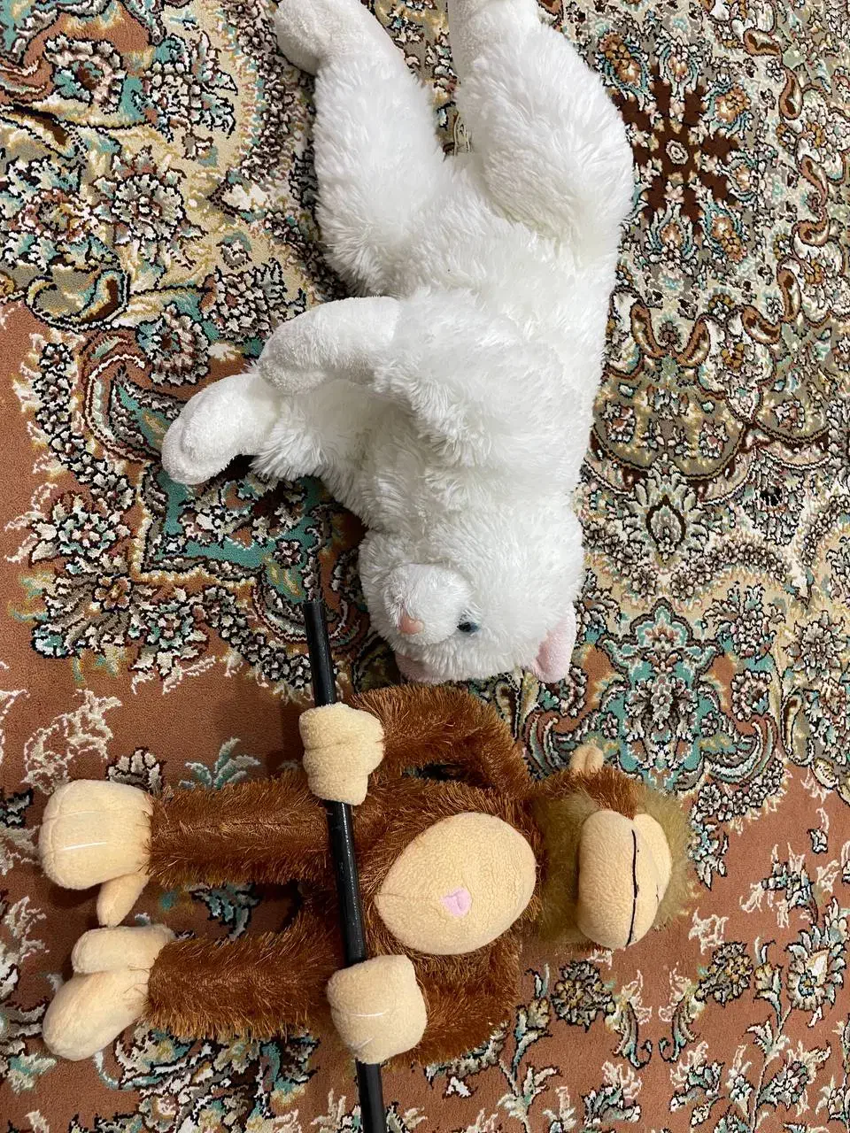 عروسک اکبند نو نو|اسباب‌بازی بچه|بانه, |دیوار