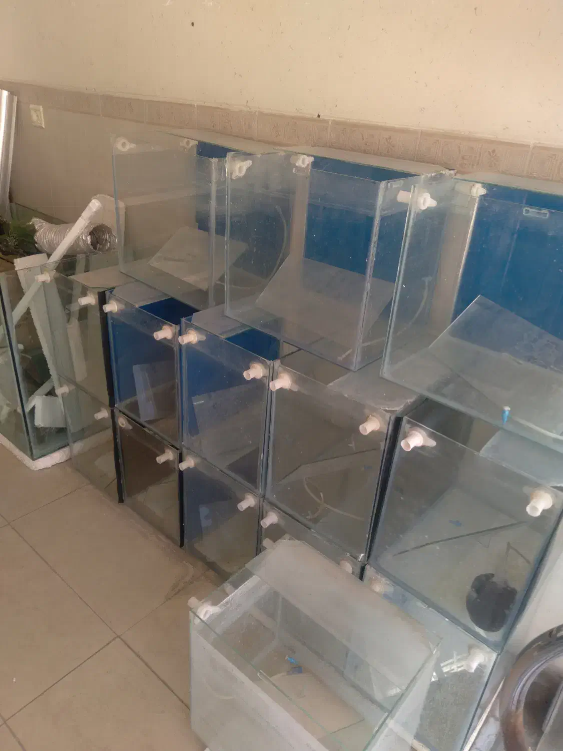 فروش فوری آکواریوم ۱۵۰ت|ماهی|گلپایگان, |دیوار