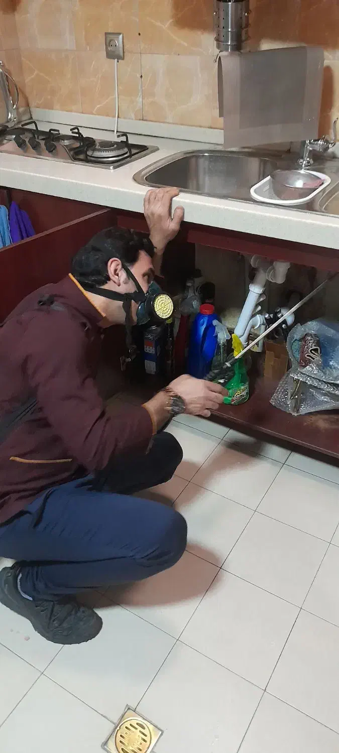 سمپاشی سوسک ساس تمام نقاط و حومه|خدمات نظافت|تهران, جیحون|دیوار