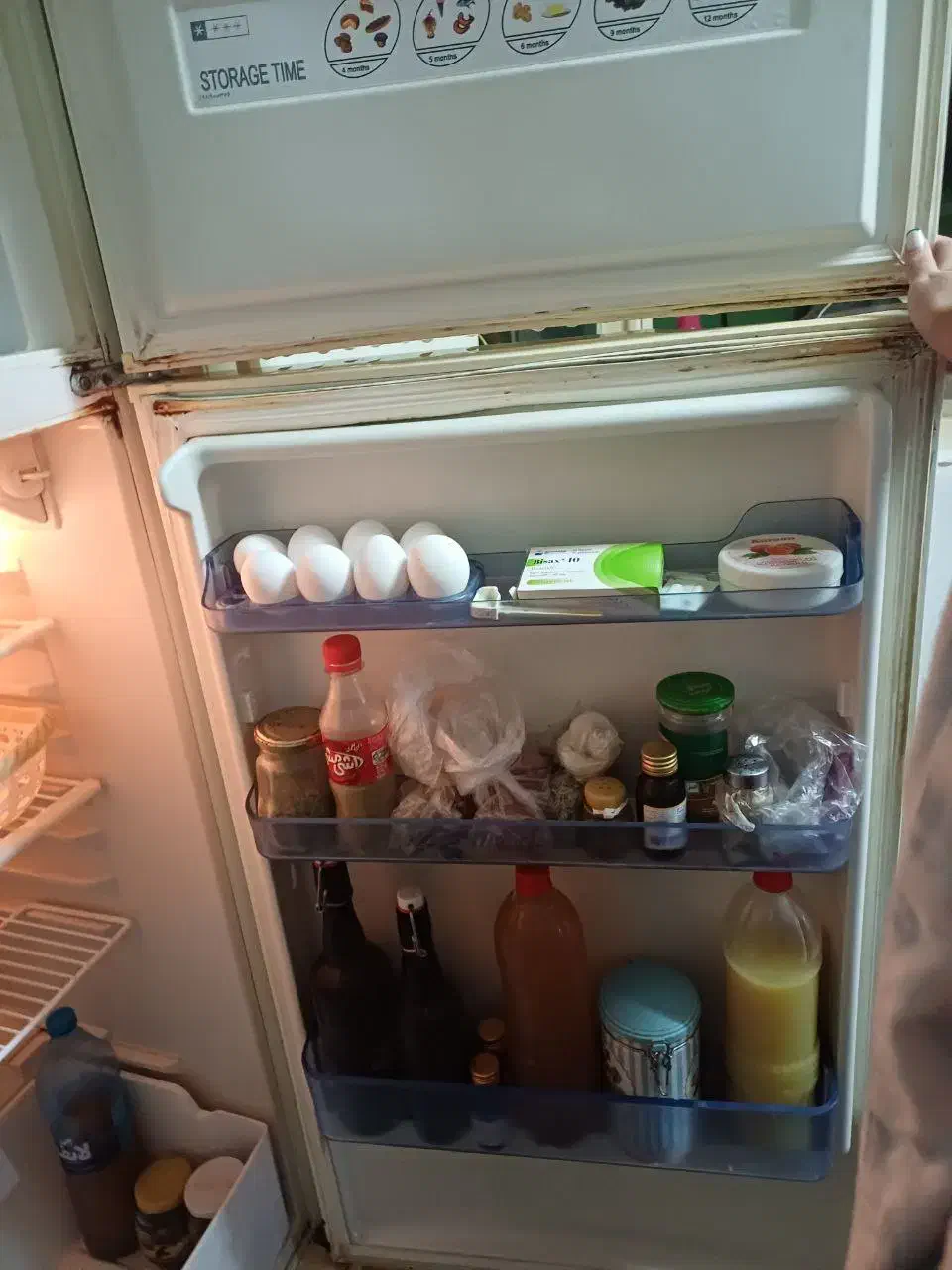 یخچال و فریزر|یخچال و فریزر|رشت, پاستوریزه|دیوار