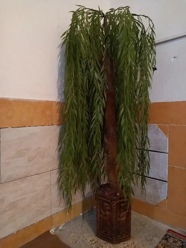 گلدون ودرخت بید|گل مصنوعی|دوگنبدان, |دیوار