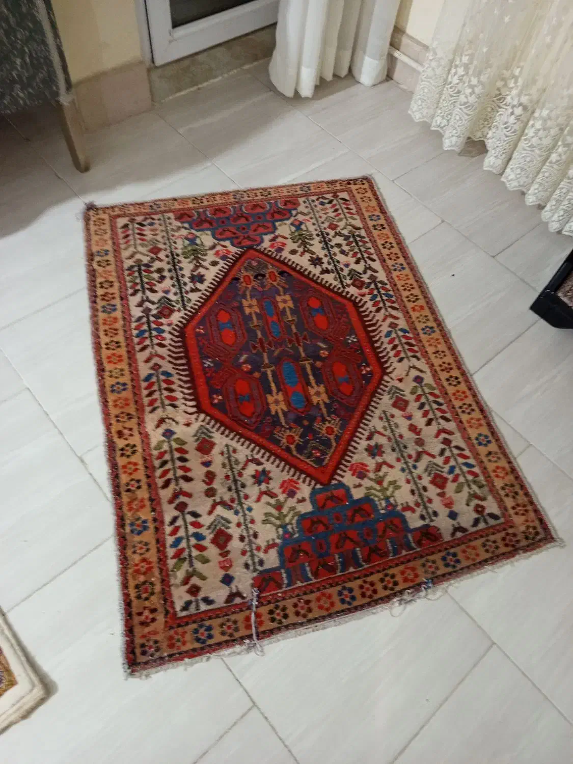 فرش دستبافت وغیره|فرش|رودهن, |دیوار