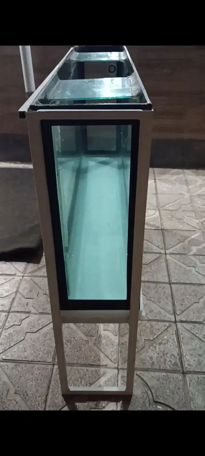 فروش آکواریوم|ماهی|نقده, |دیوار