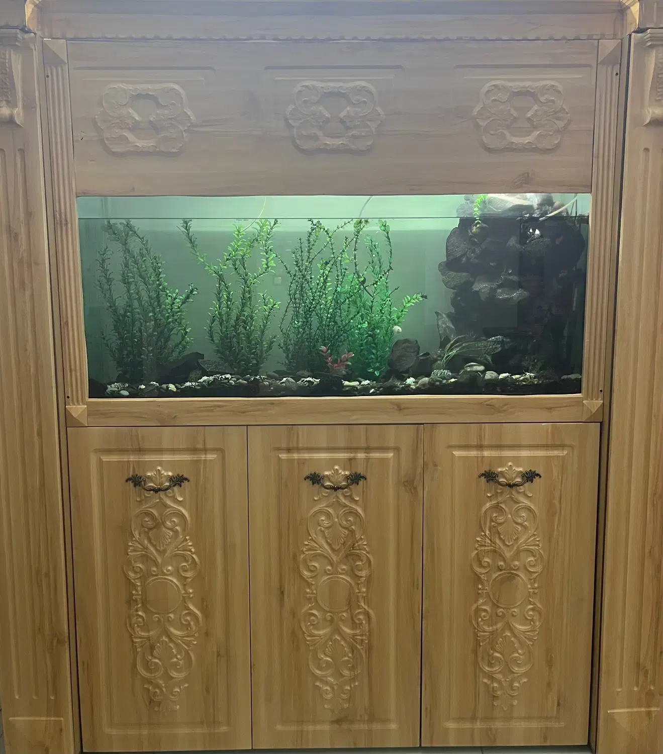 اکواریوم ۴۰۰لیتری|ماهی|سمنان, |دیوار