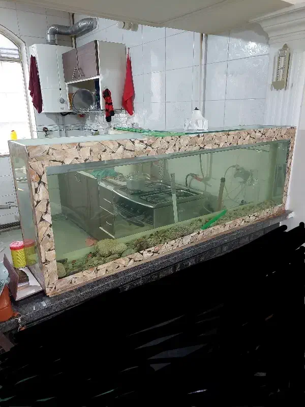 اکواریوم خالی|ماهی|قزوین, |دیوار