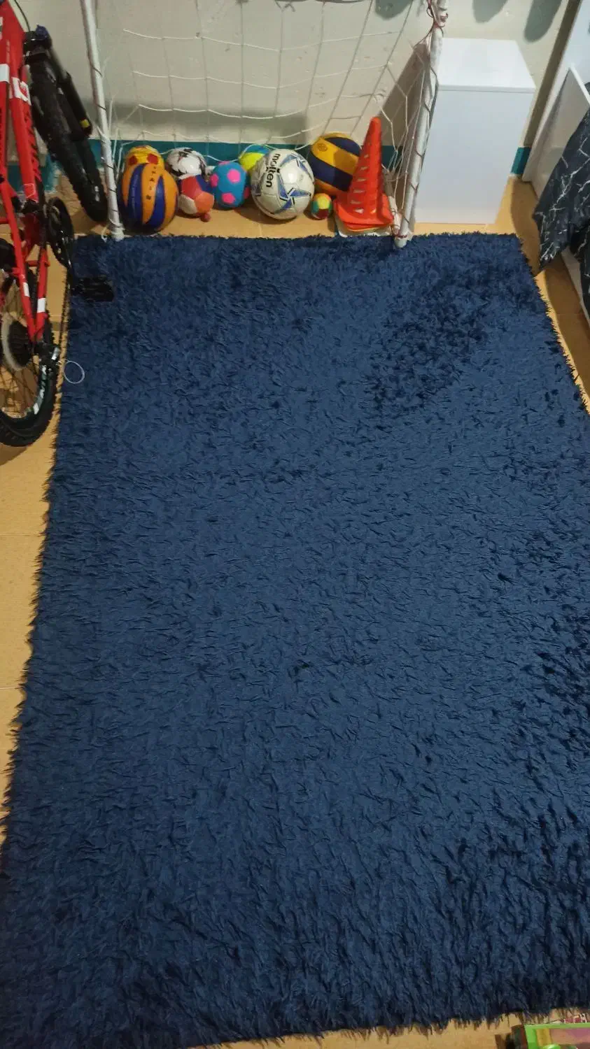 فرش ریشه ای (شکت)|فرش|مسجد سلیمان, |دیوار