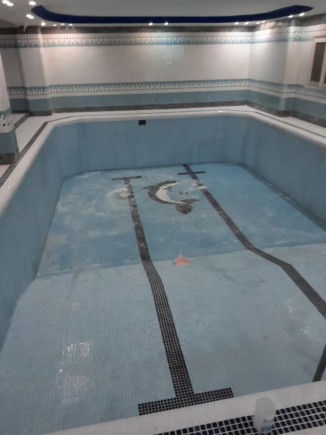 ساخت استخرصفرتاصد|خدمات پیشه و مهارت|رشت, منظریه|دیوار