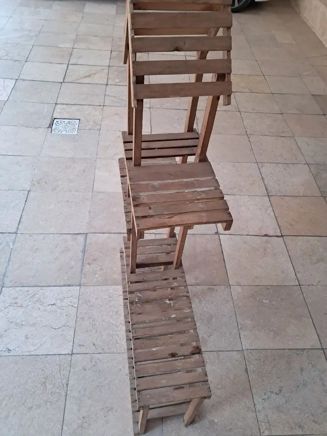 استند گل|گل و گیاه طبیعی|مشهد, آزادشهر|دیوار