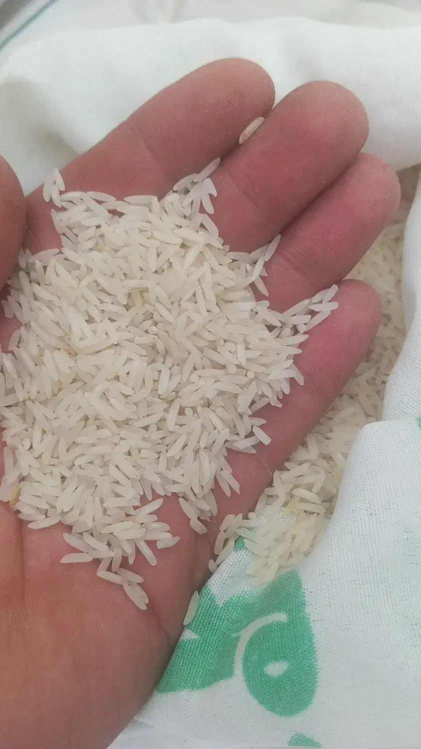 برنج فجر شمال|خوردنی و آشامیدنی|پاکدشت, شهرک انقلاب|دیوار