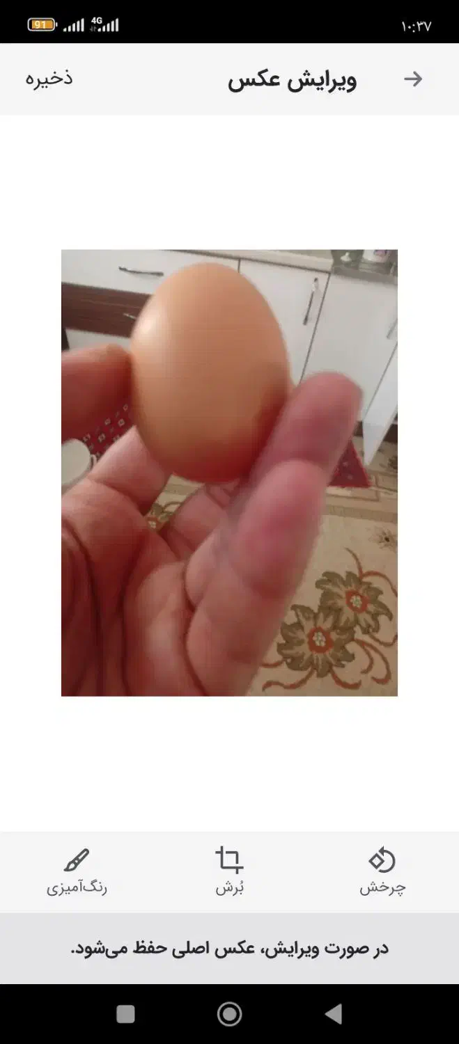 تخم مرغ محلی تازه ارگانیک بابهترین دون تغذیه شده|خوردنی و آشامیدنی|مشهد, امیریه|دیوار