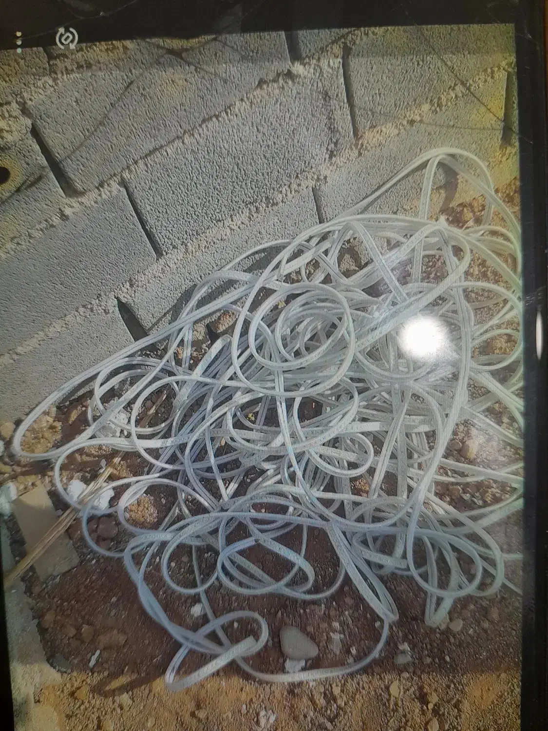 سیم الیدی برای باغ و ویلا 50 متری|لامپ و چراغ|محمدشهر, ولدآباد|دیوار