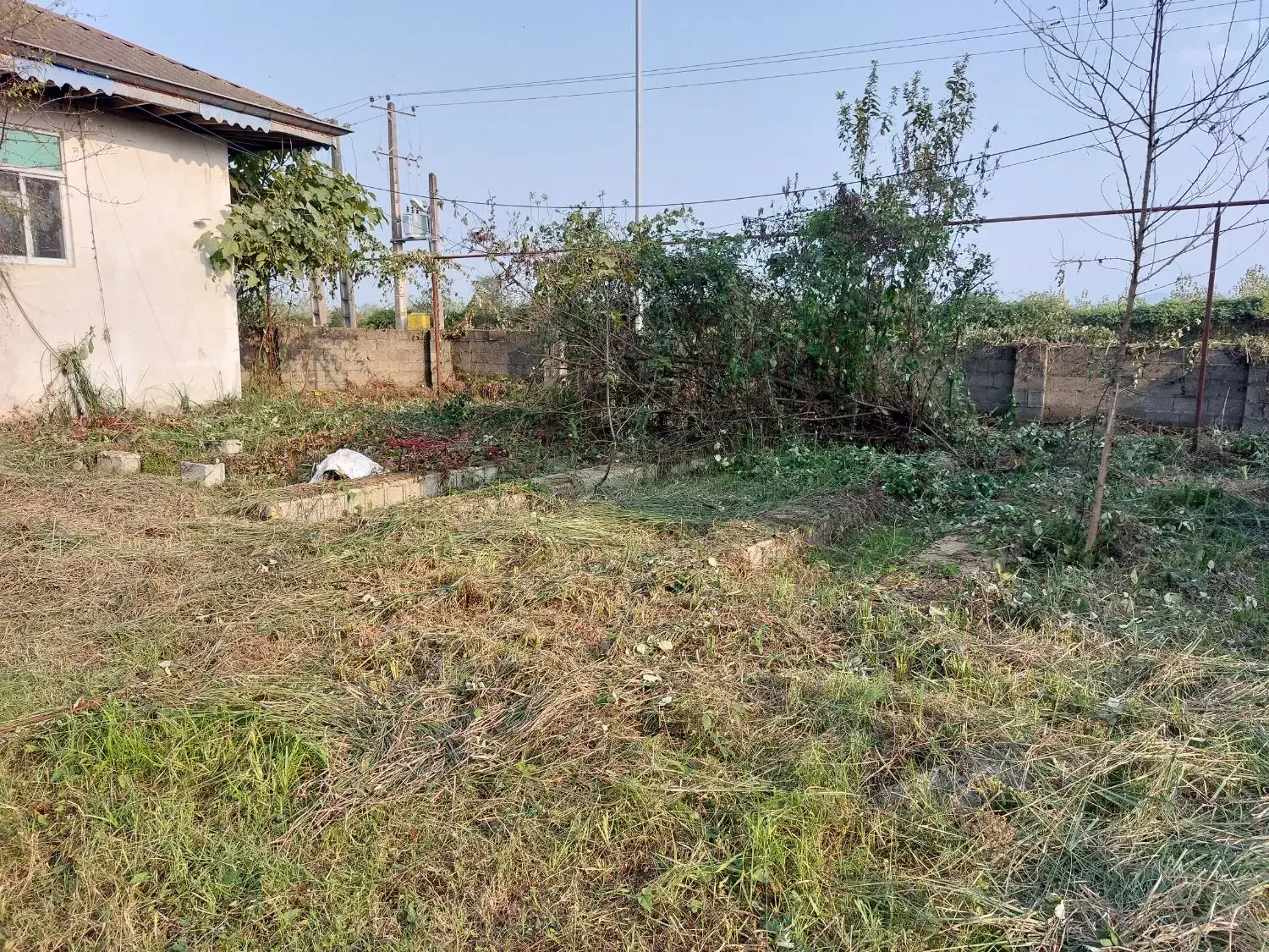 استخدام کارگرساده و نیروی اداری|استخدام صنعتی، فنی، مهندسی|احمدسرگوراب, |دیوار