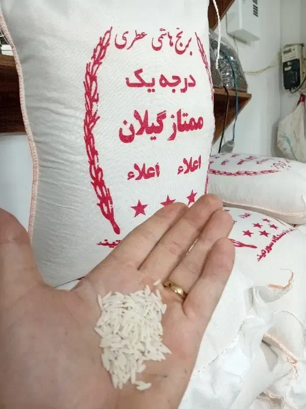 برنج هاشمی درجه یک خالص تالش|خوردنی و آشامیدنی|تالش, هشتپر|دیوار