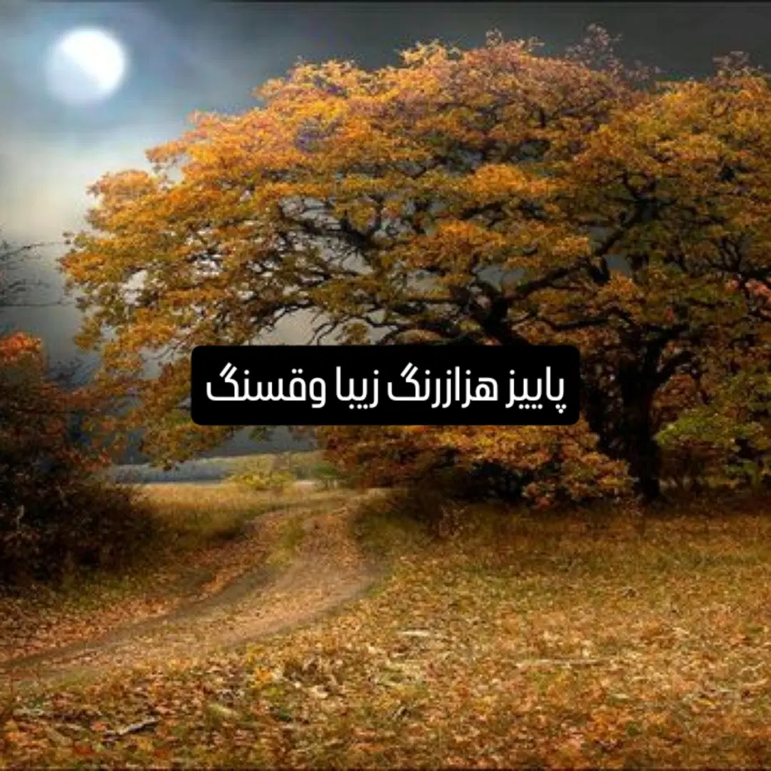 09352373033|سیم‌کارت|گرگان, |دیوار