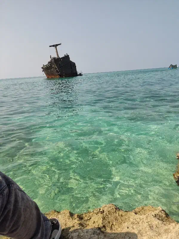 استخدام نقاش حرفه ایی برای شهرستان|استخدام معماری، عمران و ساختمانی|زاهدان, |دیوار