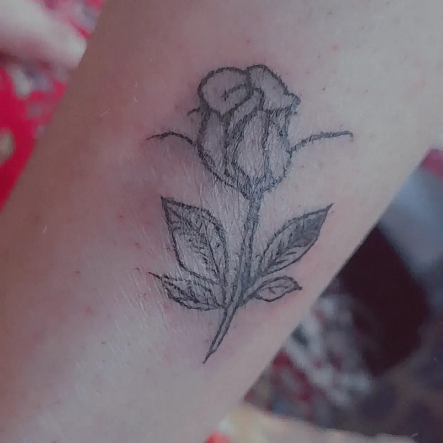 آرایشگری|خدمات آرایشگری و زیبایی|زنجان, |دیوار