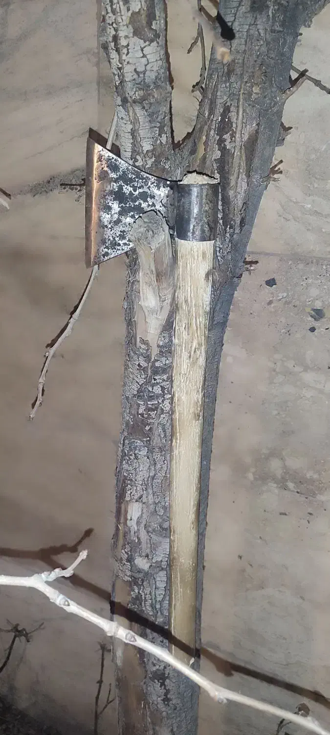 تبر|کوهنوردی و کمپینگ|اردبیل, |دیوار