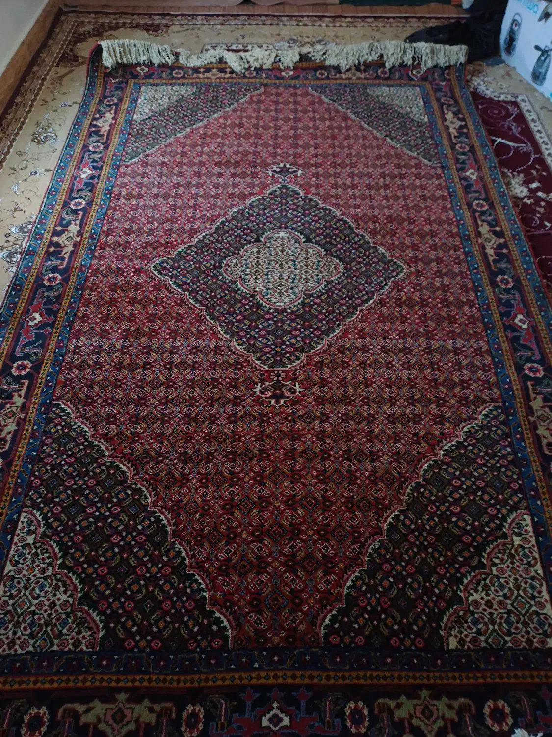 فرش|فرش|پارس‌آباد, |دیوار