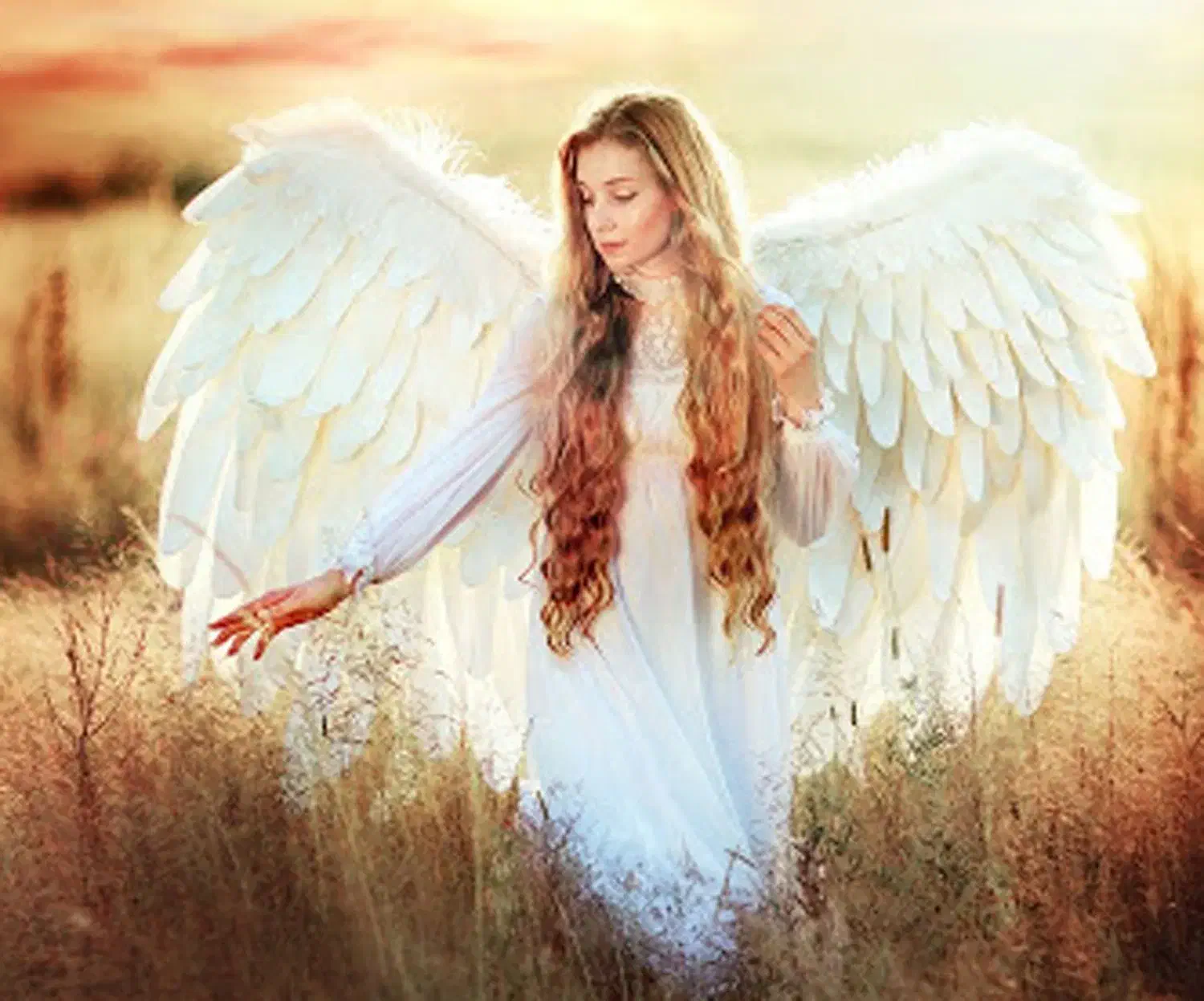 فرشتگان ارامش|استخدام درمانی، زیبایی، بهداشتی|تهران, سهروردی|دیوار