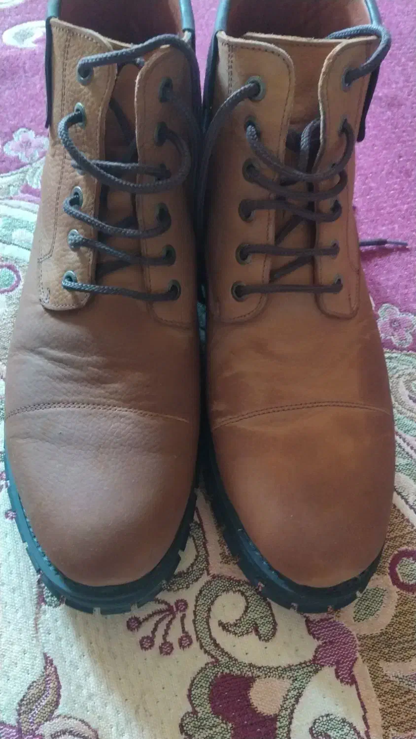 cat|کیف، کفش، کمربند|فورگ, |دیوار